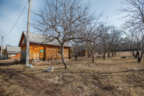 Юрист рассказала, когда грозит уголовная ответственность за рубку деревьев на даче