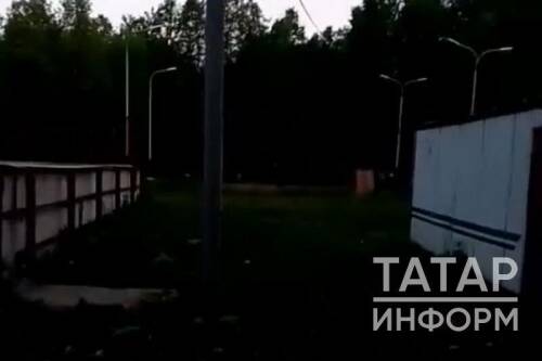 «Никто не помог! Хозяин стоял и смотрел!»: бультерьер изувечил девочку в РТ
