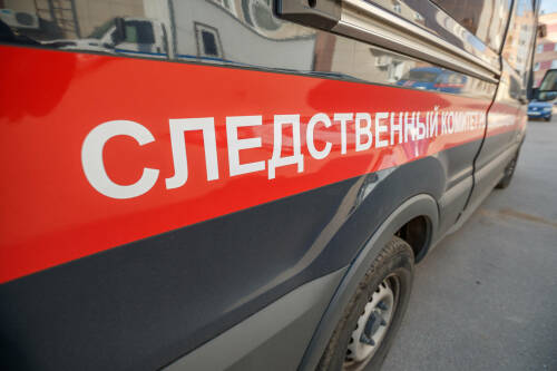 Правоохранители установили хозяина бультерьера, 