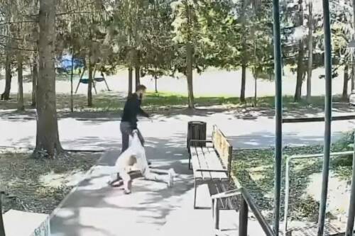 Задержан житель РТ, который пинал по голове женщину, лежащую на асфальте