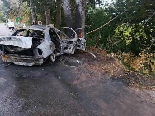 В Татарстане автомобиль влетел в дерево, 6 человек погибли