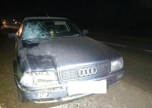 Audi и Honda насмерть сбили пешеходов в Татарстане