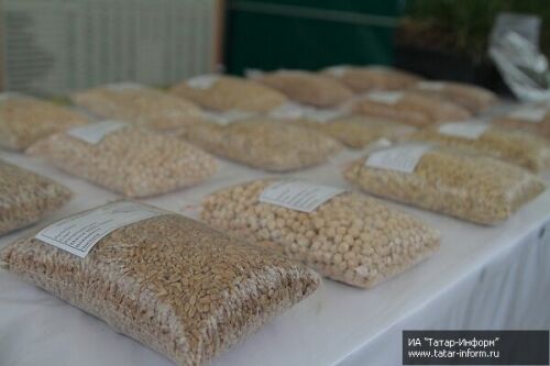 Рустам Минниханов в Тюлячинском районе 