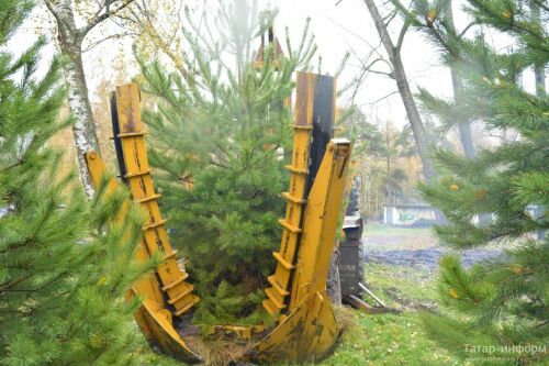 В парке Урицкого Казани завершается посадка деревьев