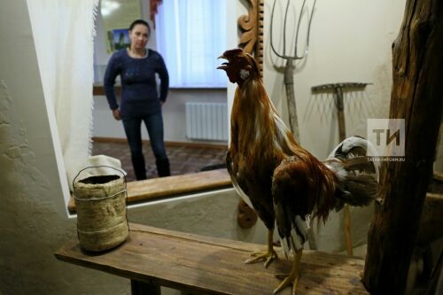 Краеведческий музей в Арске