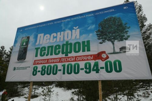  Тактико - специальные учения по тушению лесного пожара и ликвидация его последствий