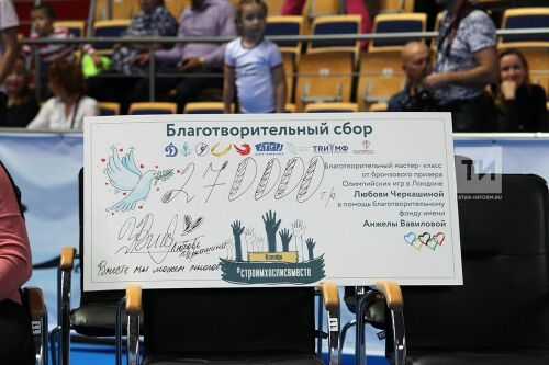 Подведение итогов благотворительного мастер-класса Любови Черкашиной 