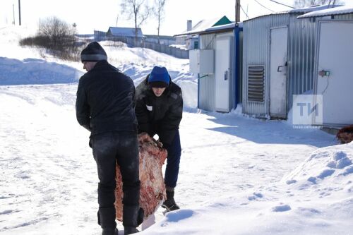 Интервью с осужденными колонии-поселения № 17. Мамадышский район РТ поселок Дигитли