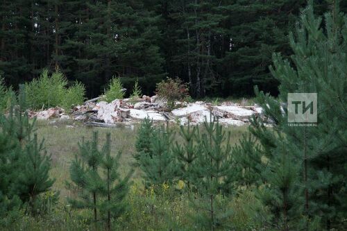 Пресс-тур на территорию будущего экорайона Казани