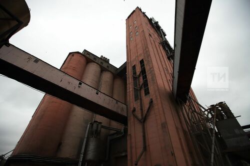 Казанский элеватор