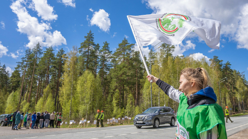 Акция «Чистые леса Татарстана» прошла сегодня по всей республике