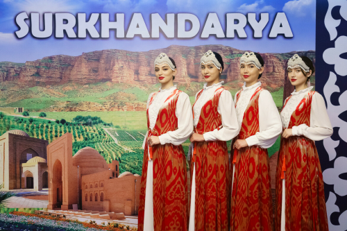 В Казани представили инвестиционный и экспортный потенциал Сухандарьинской области Узбекистана
