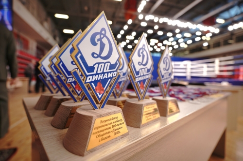 Всероссийские соревнования по боксу, посвященные 100-летию «Динамо», окрылись в Казани