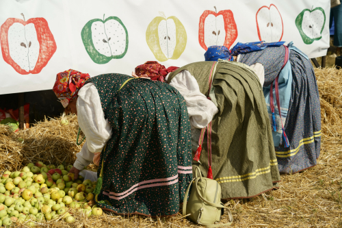 Фольклорный праздник «Яблочный спас» собрал гостей в Красновидово