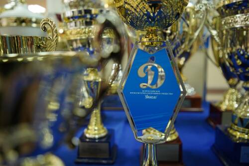 В МВД по Республике Татарстан состоялся Пленум ФСО «Динамо» Республики Татарстан