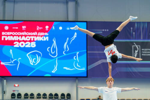 Ведущие тренеры провели мастер-классы в Всероссийский день гимнастики