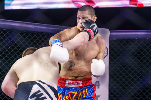 В Казани прошел Международный турнир по боевым искусствам TATFIGHT-11