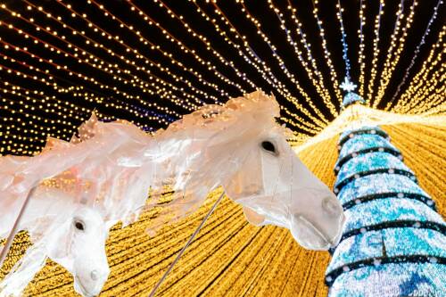 Главная новогодняя елка Казани зажглась у «Чаши»