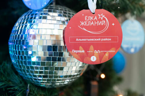 Депутаты Госсовета присоединились к благотворительной акции «Ёлка желаний»