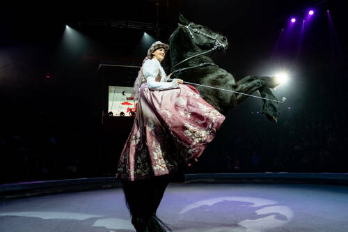 Казанский цирк представил «Удивительную историю»