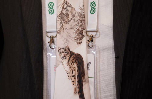 Развитие международного сотрудничества в области сохранения снежного барса обсудили в Казани