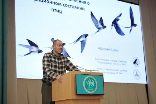 В Казани прошла орнитологическая конференция МОКСЕ-2025