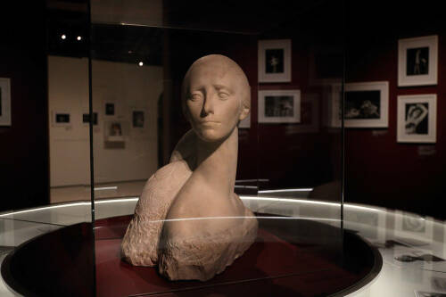 Открылась выставка из собрания Бахрушинского музея «Плисецкая. Полюс магии»