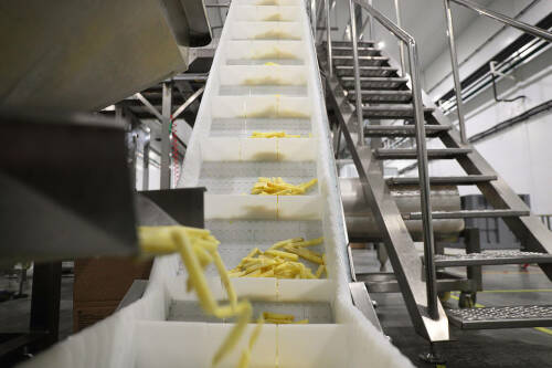 В Чистополе открыли первый в Татарстане завод по производству картофеля фри