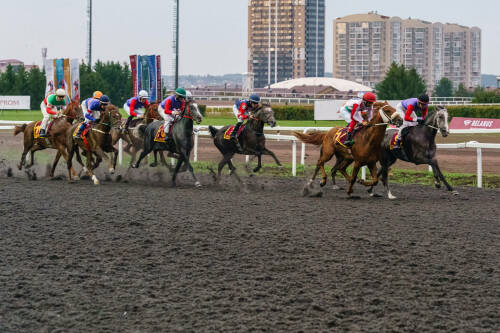 Скачки на приз Президента России состоялись на Казанском ипподроме