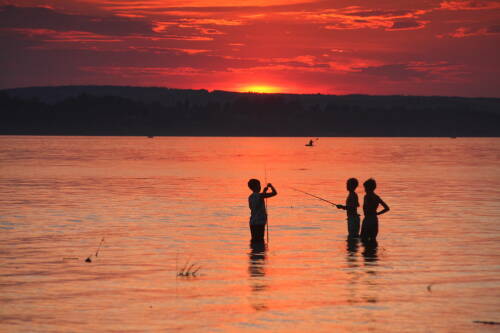 Воспоминания о лете