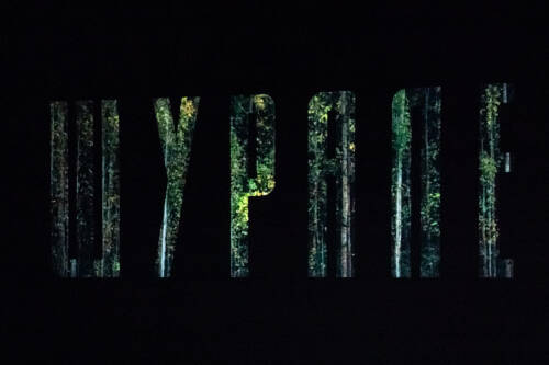 Специальный показ фильма «Шурале» прошел в Казани