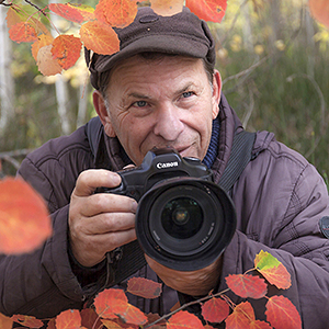 Брик Николай Николаевич