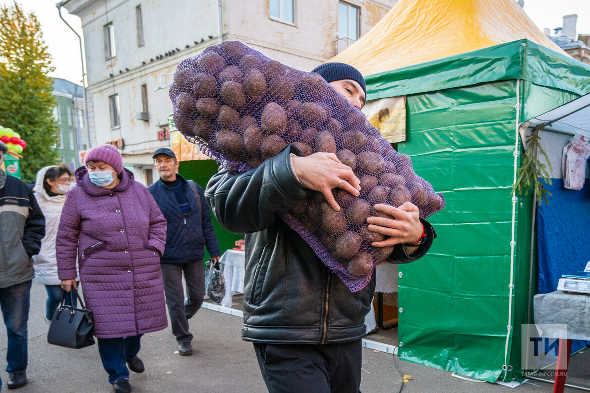 «Сами поднимают волну»: в Татарстане увеличили поставки овощей на ярмарки из-за ажиотажа