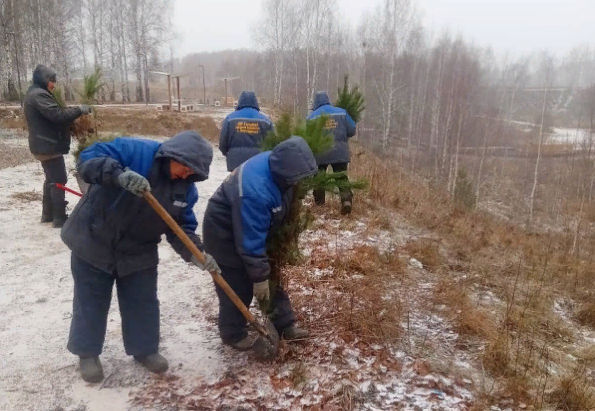 В Зеленодольском районе Татарстана за осенний сезон высажено 6 тыс. деревьев