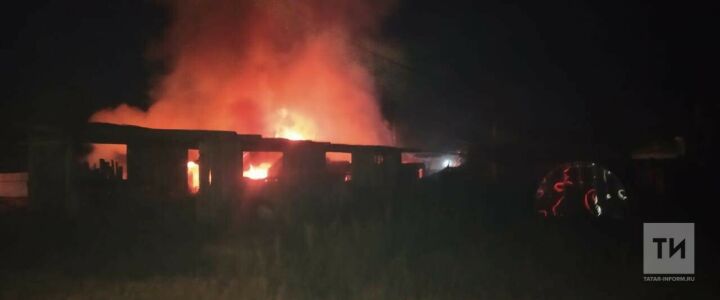 В ночном пожаре в Кукморском районе РТ сгорели семь коров