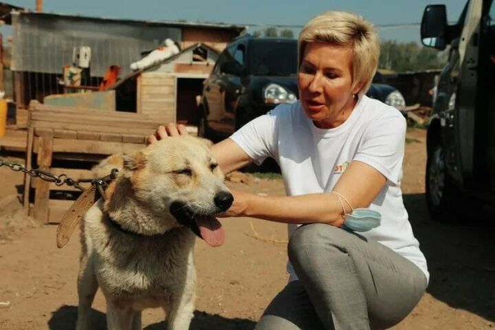 Ольга Павлова: необходимо ввести обязательную регистрацию домашних животных