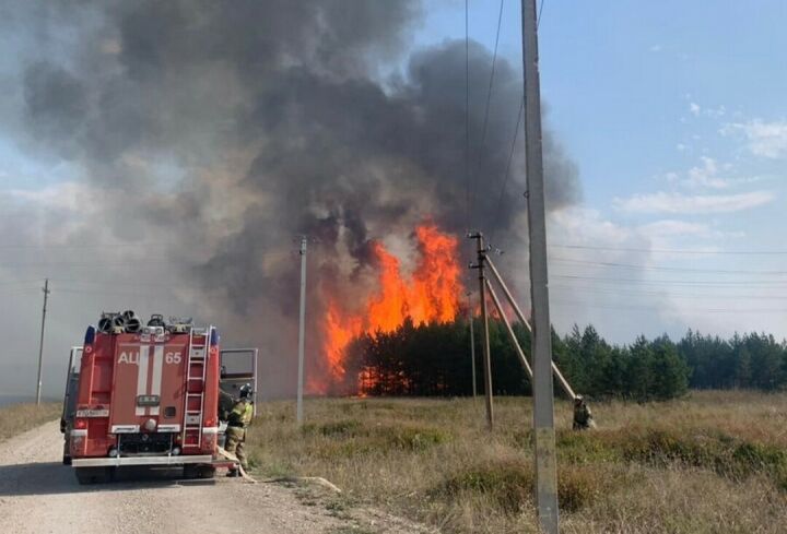 «Сентябрь и октябрь будут напряженными»: лесники Татарстана бьют тревогу из-за пожаров