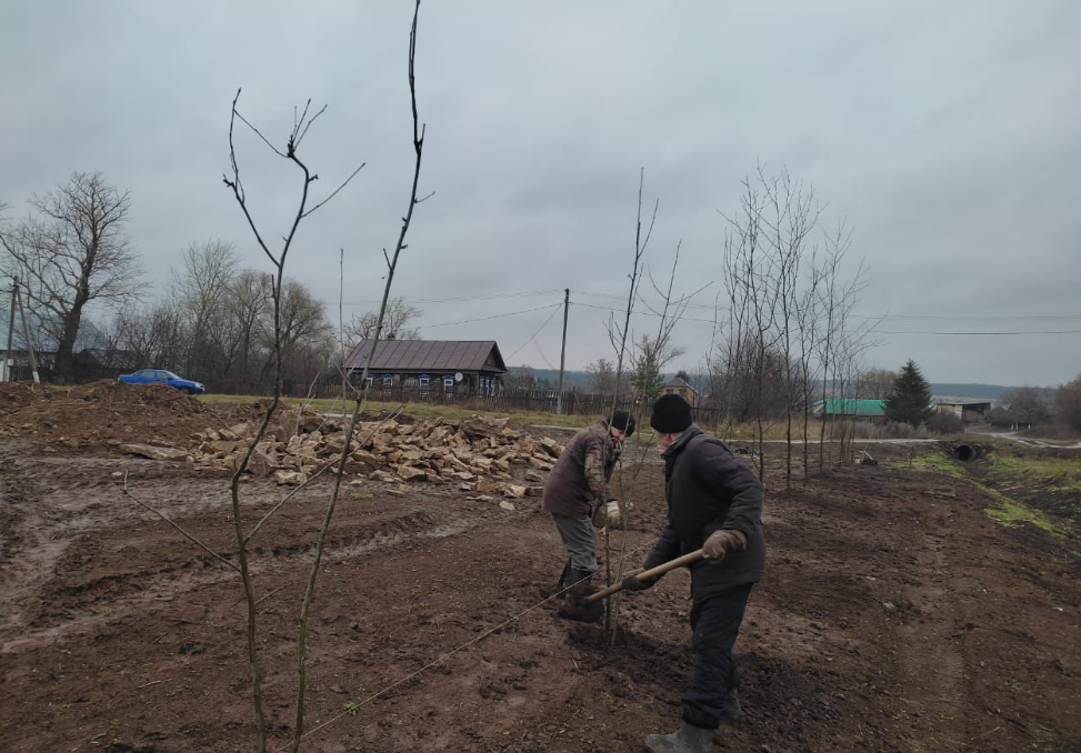 Территорию у будущей стелы Мавля Колыю в Пестречинском районе украсят более ста деревьев