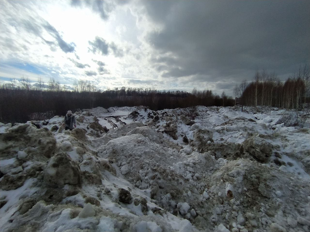 Злоумышленники на берегу Казанки засыпали грязным снегом краснокнижную лесную орхидею