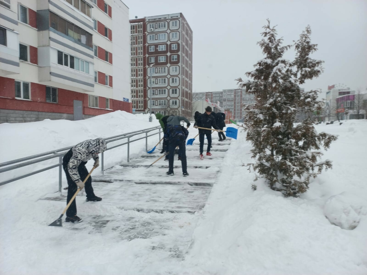 Школьники и студенты Челнов очистили от снега бульвары Боровецкий и Кереселидзе