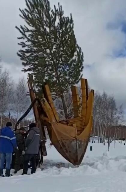 В «Березовой роще» Зеленодольска высадят 200 деревьев при помощи «гидравлической лопаты»