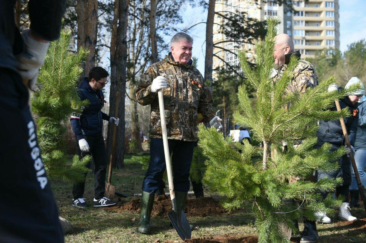 «Сад памяти»: Магдеев и депутаты Горсовета высадили 200 сосен в Челнах