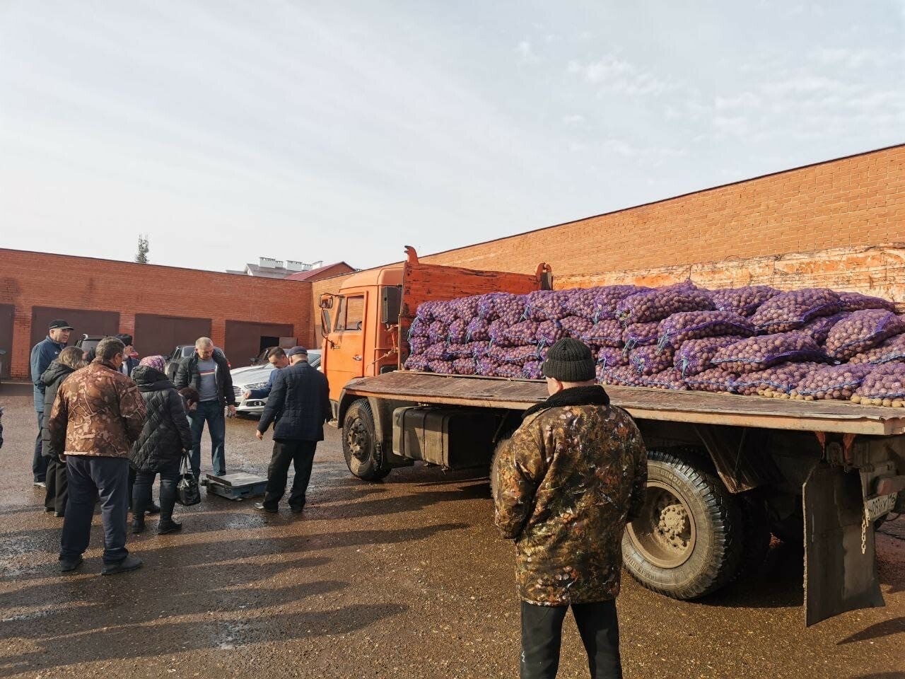 Исполком Мамадышского района обеспечил жителей 40 тоннами семенного картофеля