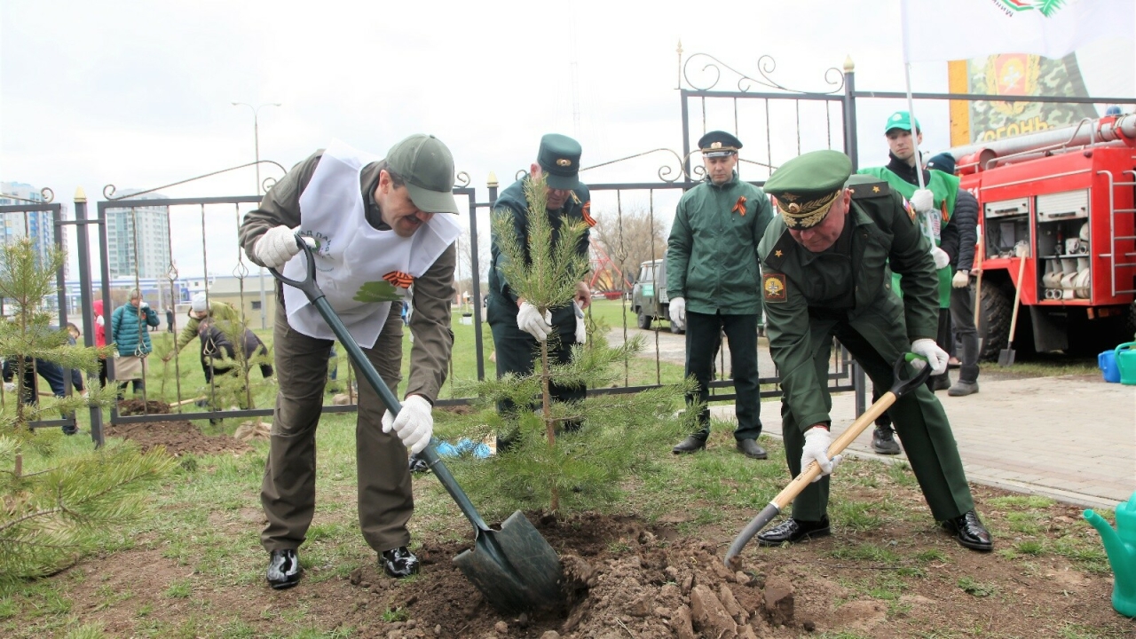 Участники «Сада памяти — 2022» в Татарстане высадили более 1,2 млн деревьев