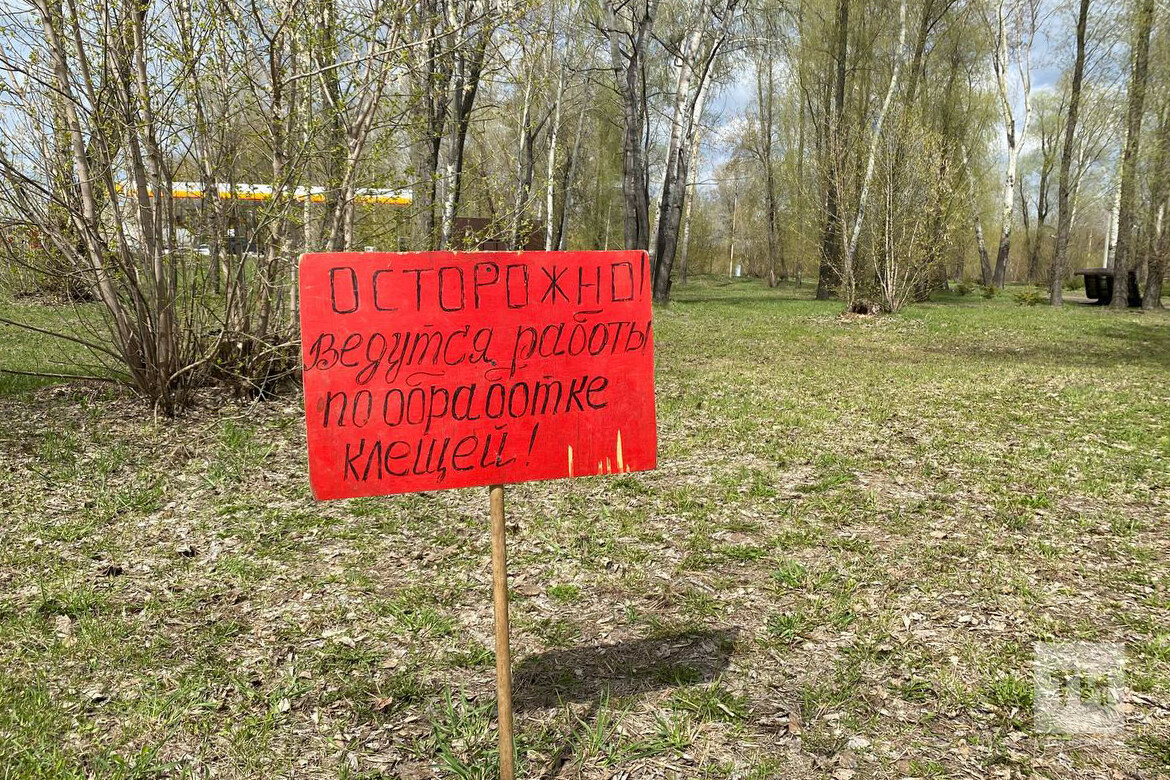 «Нужны три дня без дождя»: как парки и скверы Татарстана обрабатывают от клещей