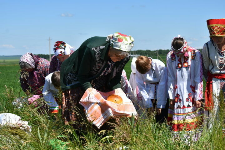 В Татарстане возродили древний обряд поклонения солнцу