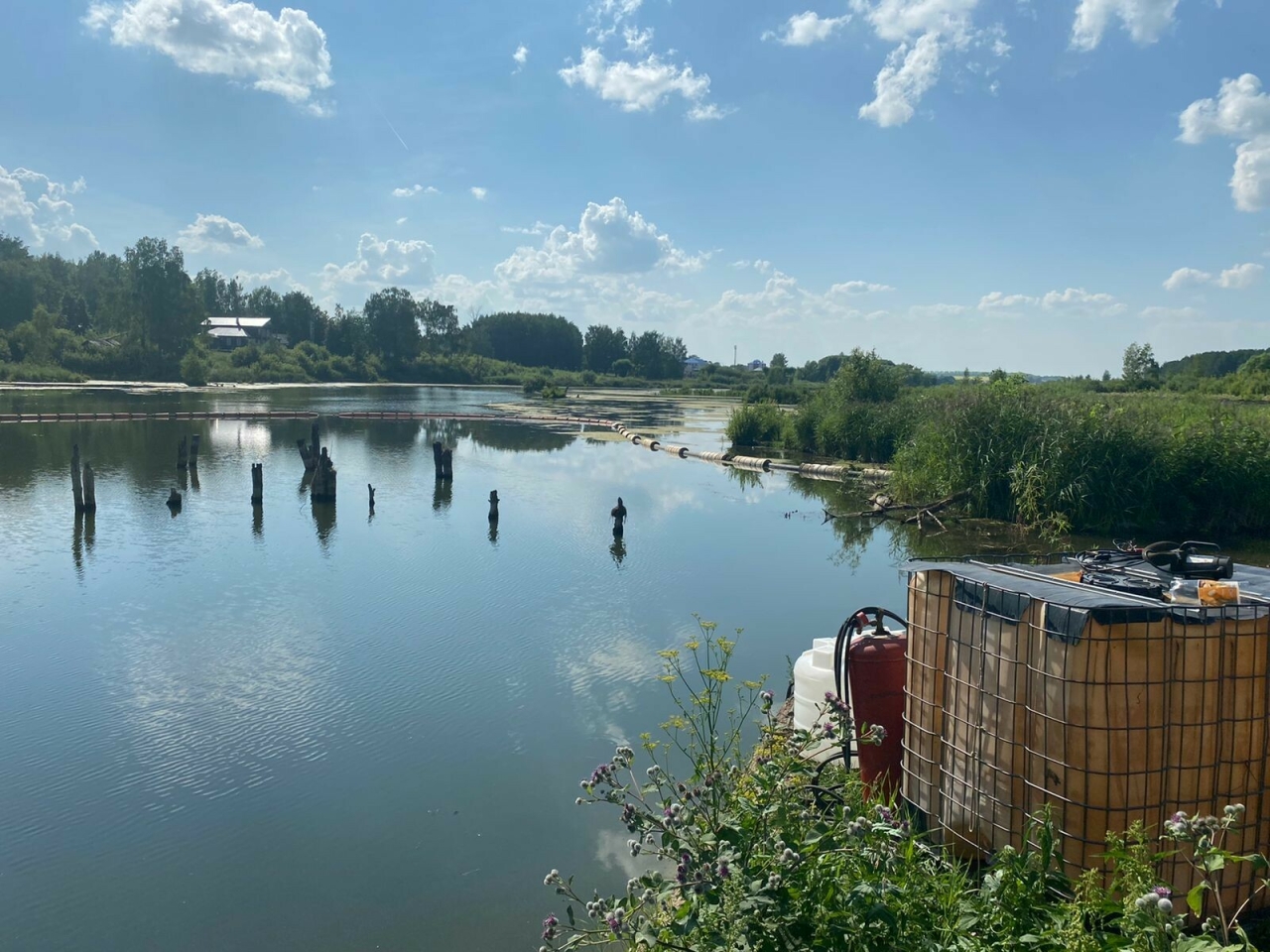 В музее-заповеднике Ленино-Кокушкино благоустроят берег реки Ушня