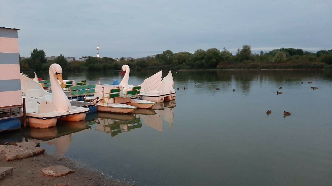 Минэкологии РТ: Замор рыбы в озере казанского парка Победы не подтвержден