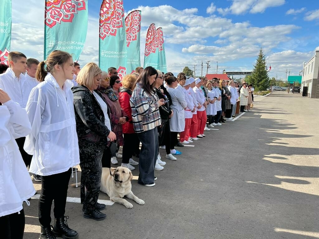 В Альметьевске открылся Центр ветеринарной медицины для бездомных собак