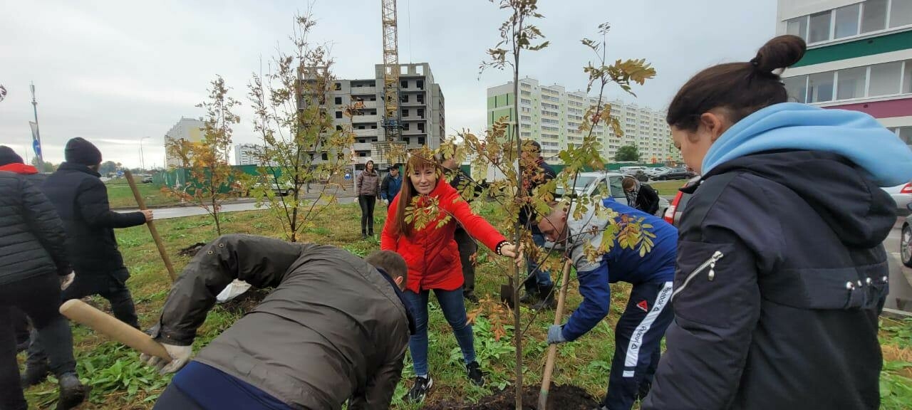 Более 500 деревьев посадили горожане и организации на субботнике в Челнах